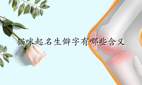 猫咪起名生僻字有哪些含义