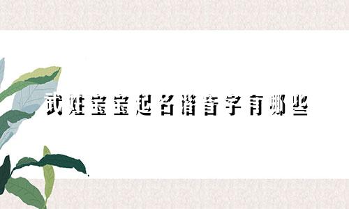 武姓宝宝起名谐音字有哪些