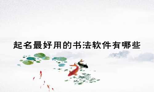起名最好用的书法软件有哪些
