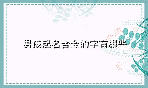 男孩起名含金的字有哪些