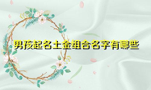 男孩起名土金组合名字有哪些