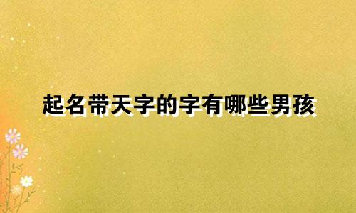 起名带天字的字有哪些男孩