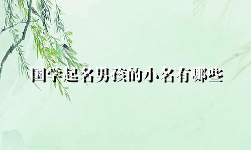 国学起名男孩的小名有哪些