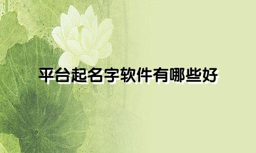 平台起名字软件有哪些好