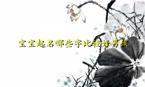 宝宝起名哪些字比较好男孩