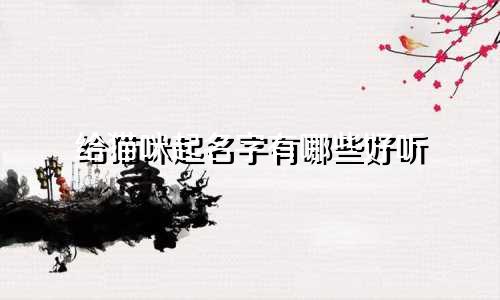 给猫咪起名字有哪些好听