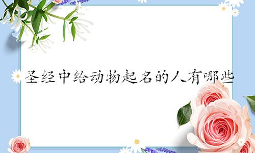 圣经中给动物起名的人有哪些