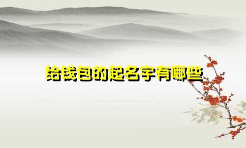 给钱包的起名字有哪些