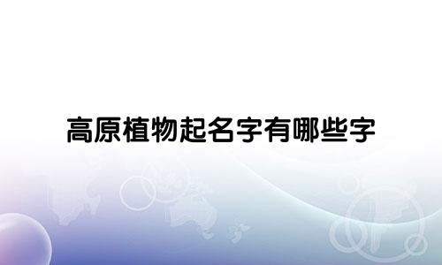高原植物起名字有哪些字