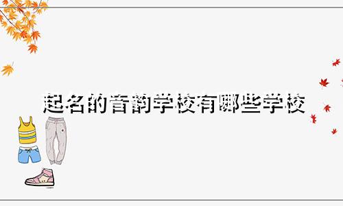 起名的音韵学校有哪些学校