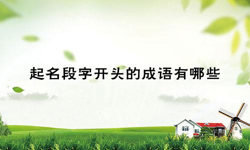 起名段字开头的成语有哪些