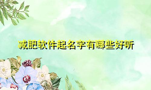 减肥软件起名字有哪些好听