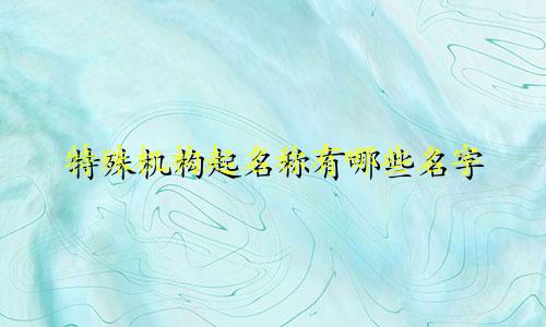 特殊机构起名称有哪些名字