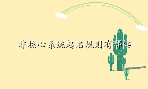 非核心系统起名规则有哪些