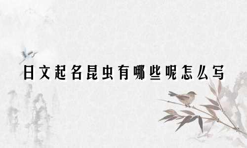 日文起名昆虫有哪些呢怎么写
