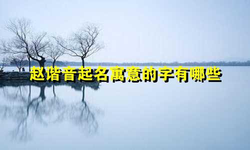 赵谐音起名寓意的字有哪些