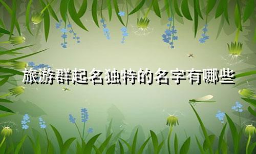 旅游群起名独特的名字有哪些