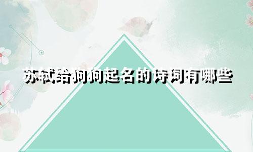 苏轼给狗狗起名的诗词有哪些