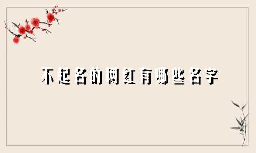 不起名的网红有哪些名字