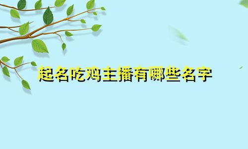 起名吃鸡主播有哪些名字