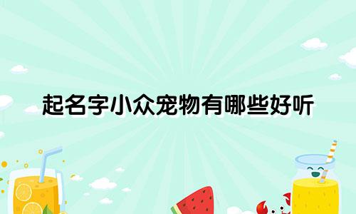 起名字小众宠物有哪些好听