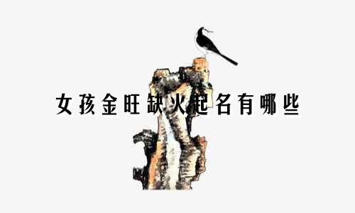 女孩金旺缺火起名有哪些