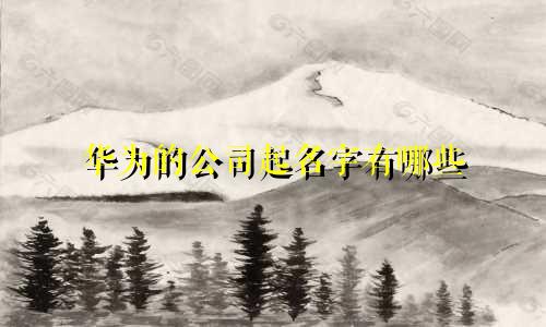 华为的公司起名字有哪些