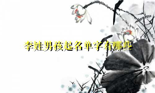李姓男孩起名单字有哪些