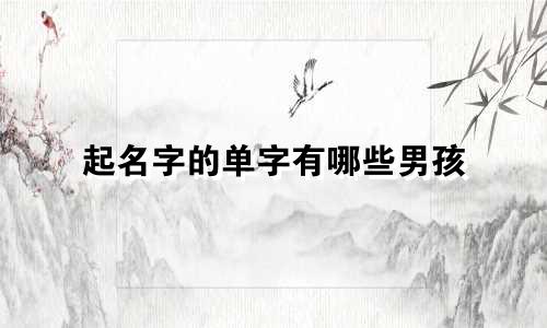 起名字的单字有哪些男孩