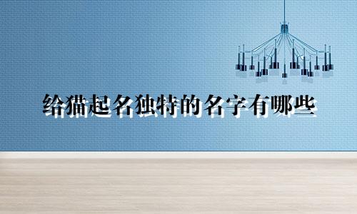 给猫起名独特的名字有哪些