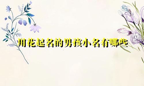 用花起名的男孩小名有哪些
