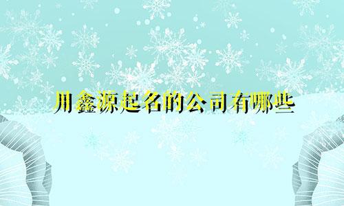 用鑫源起名的公司有哪些