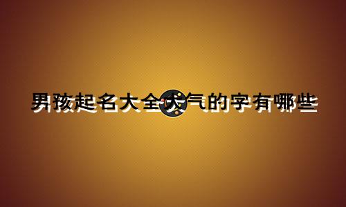 男孩起名大全大气的字有哪些