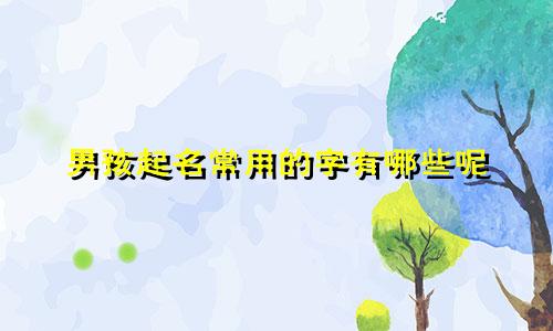 男孩起名常用的字有哪些呢