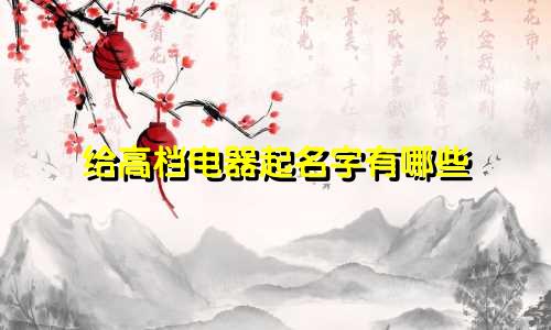 给高档电器起名字有哪些
