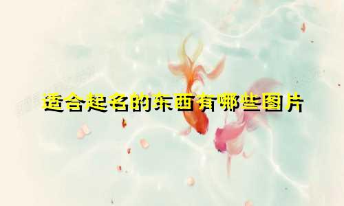 适合起名的东西有哪些图片