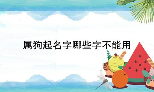 属狗起名字哪些字不能用