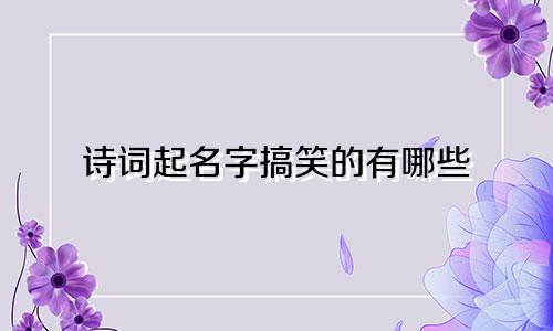 诗词起名字搞笑的有哪些