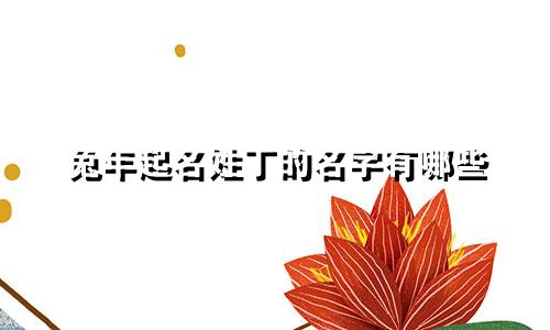 兔年起名姓丁的名字有哪些