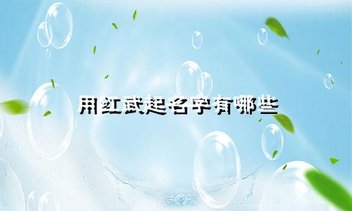 用红武起名字有哪些