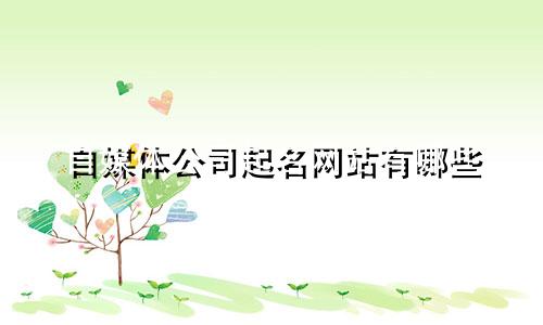 自媒体公司起名网站有哪些