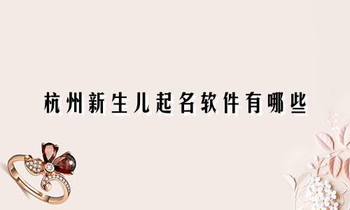 杭州新生儿起名软件有哪些