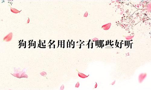 狗狗起名用的字有哪些好听