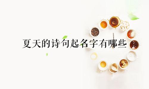夏天的诗句起名字有哪些