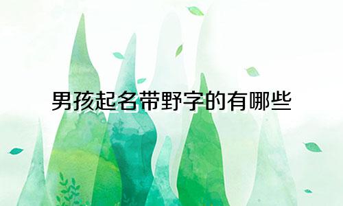 男孩起名带野字的有哪些