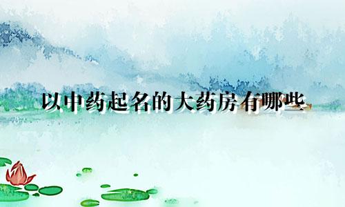 以中药起名的大药房有哪些