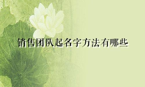销售团队起名字方法有哪些