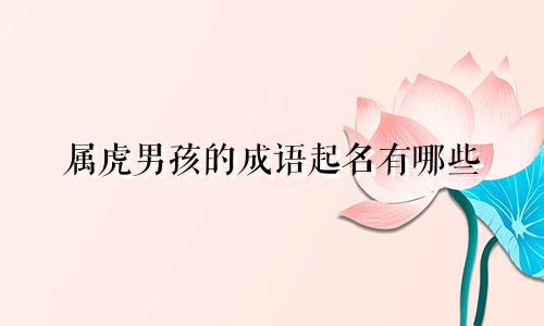 属虎男孩的成语起名有哪些