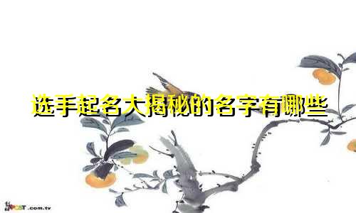 选手起名大揭秘的名字有哪些