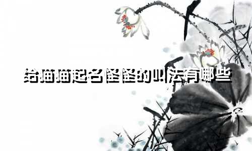给猫猫起名怪怪的叫法有哪些